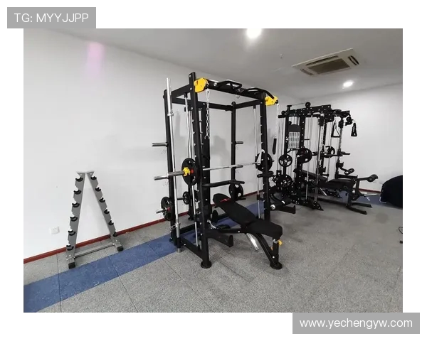 综合健身器材训练器：全身锻炼的理想选择