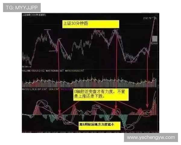 黑马逆袭史：从积分数据看1516赛季英超格局剧变