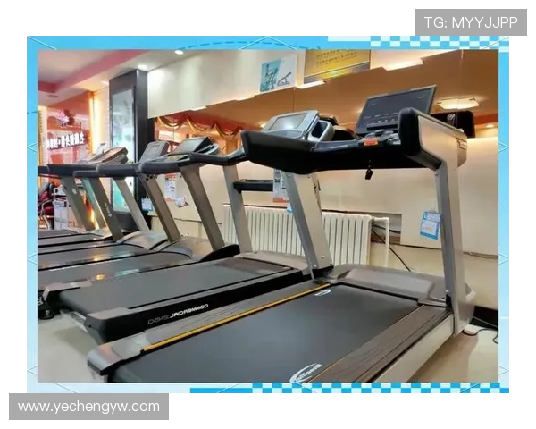 购置健身器材:如何购买健身器材?选购建议与市场推荐 购置健身器材:如何购买健身器材?选购建议与市场推荐