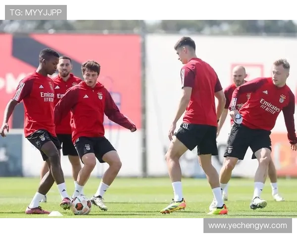 足球赛事中的比赛组织与球员调配