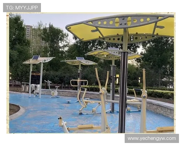 郑州健身器材市场分布与选购指南