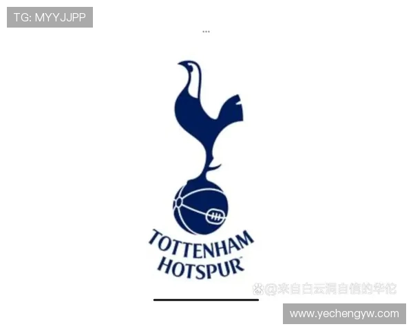 法甲球队年度财务结构分析与盈利能力研究