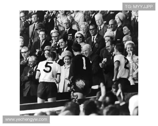 FIFA世界杯是什么意思及其历史与影响解析全球足球盛事解读